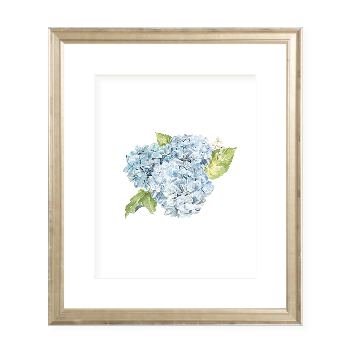 Hydrangea Blue Portrait Watercolor Print – Sugar B Designs
