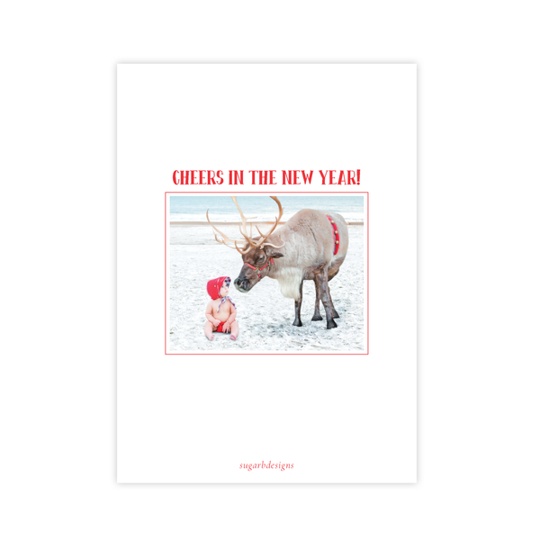 Rudolph's Delight Crest Photo Portrait Christmas Card