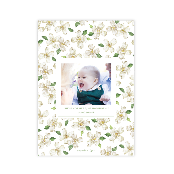 Thorp Dogwood Branches Easter Card