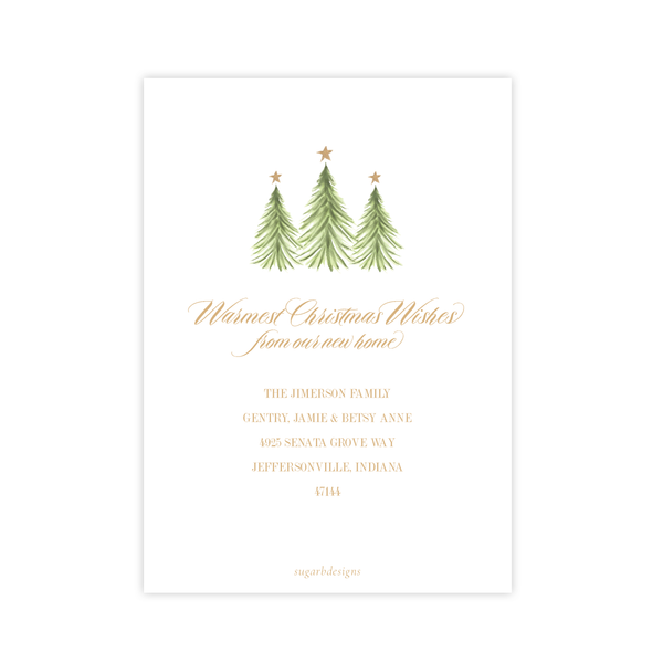 Hagan Change of Address Christmas Card