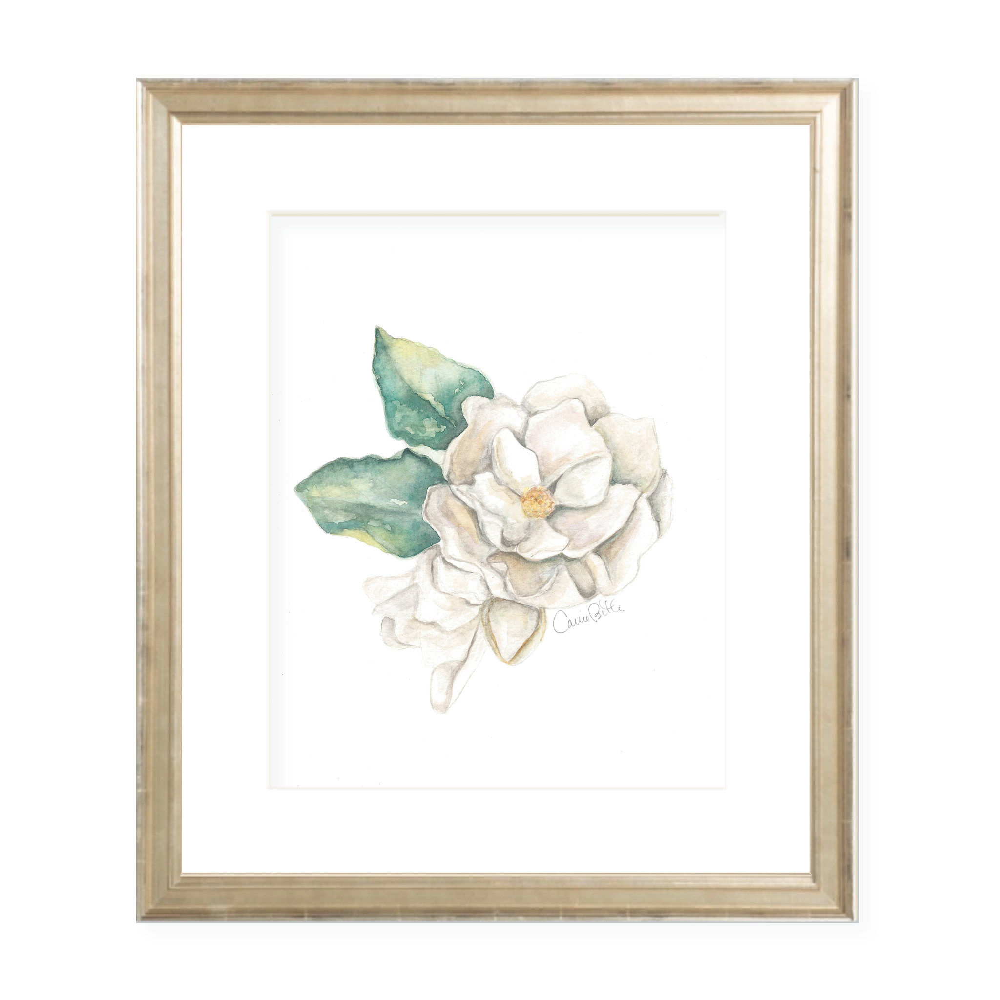 Magnolia Watercolor Print
